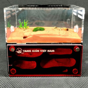 Tank Kiến D01 - Hình ảnh 9