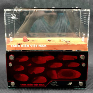 Tank Kiến D03 - Hình ảnh 13