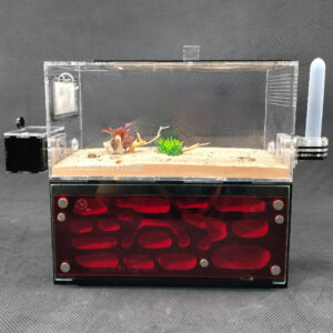 Tank Kiến D04 - Hình ảnh 6