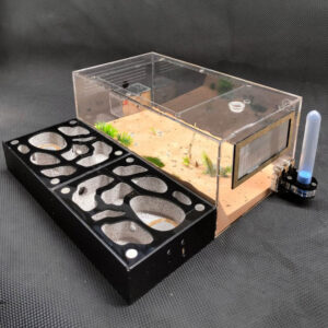 Tank Kiến N06 - Hình ảnh 4