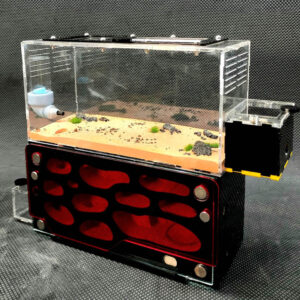 Tank Kiến D03 - Hình ảnh 4