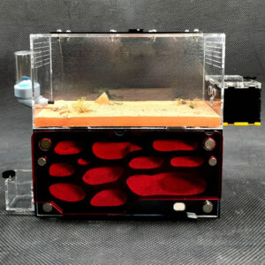 Tank Kiến D03 - Hình ảnh 3