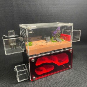 Tank Kiến H03 - Hình ảnh 6