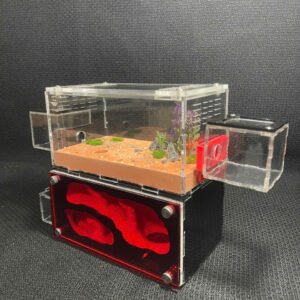 Tank Kiến H03 - Hình ảnh 5