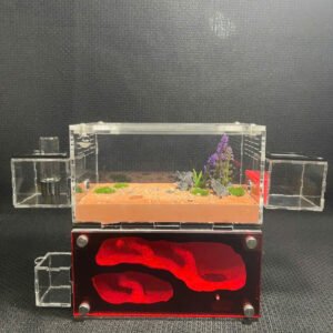 Tank Kiến H03 - Hình ảnh 4