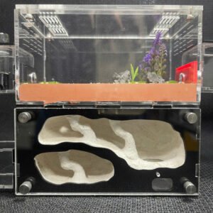 Tank Kiến H03 - Hình ảnh 3