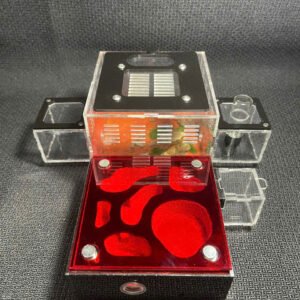 Tank Kiến N02 - Hình ảnh 2
