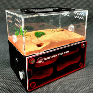 Tank Kiến D01 - Hình ảnh 8