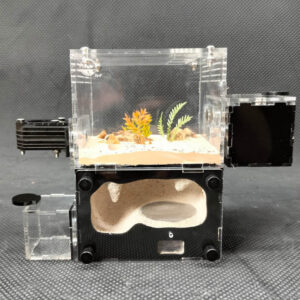 Tank Kiến H01 - Hình ảnh 7