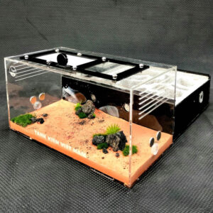 Tank Kiến N05 - Hình ảnh 8