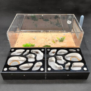 Tank Kiến N06 - Hình ảnh 3