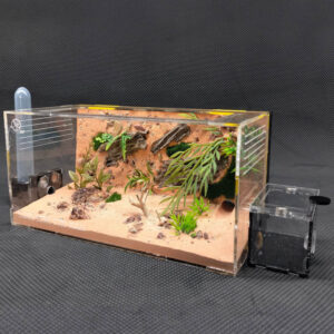 Tank Kiến V01 - Hình ảnh 7