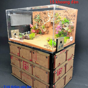 Tank Kiến Chung Cư LA15 - Hình ảnh 11