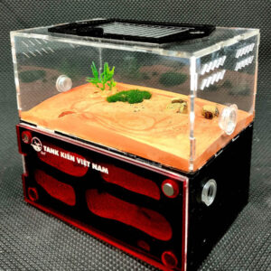 Tank Kiến D01 - Hình ảnh 7