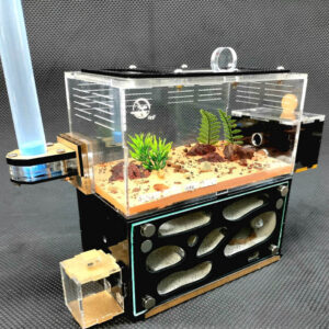 Tank Kiến D02 - Hình ảnh 5