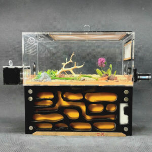 Tank Kiến D04_Mica - Hình ảnh 6