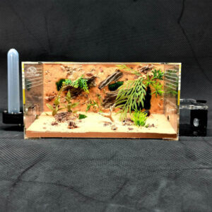 Tank Kiến V01 - Hình ảnh 6
