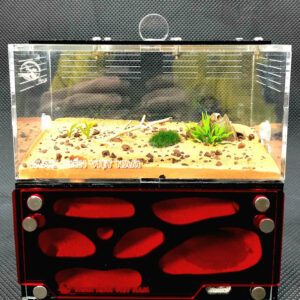 Tank Kiến D02 - Hình ảnh 4