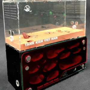 Tank Kiến D03 - Hình ảnh 10