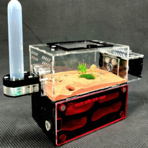 Tank Kiến D01 - Hình ảnh 6