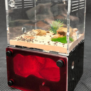 Tank Kiến H01 - Hình ảnh 4