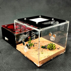 Tank Kiến N02 - Hình ảnh 11