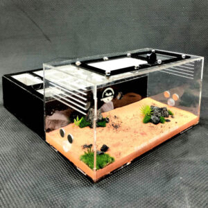 Tank Kiến N05 - Hình ảnh 5