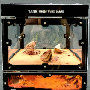 Tank Kiến U2 - Hình ảnh 8