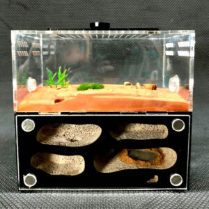 Tank Kiến D01 - Hình ảnh 5