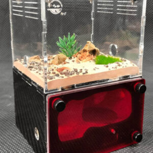Tank Kiến H01 - Hình ảnh 3
