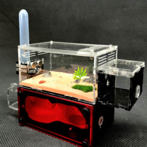 Tank Kiến H02 - Hình ảnh 3