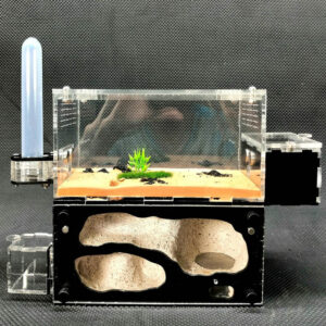 Tank Kiến H03 - Hình ảnh 3