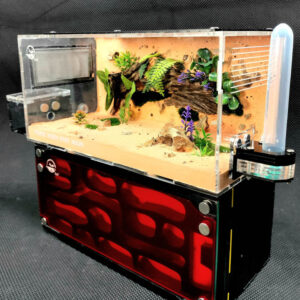 Tank Kiến D04_Mica - Hình ảnh 3