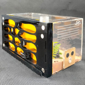 Tank Kiến V01 - Hình ảnh 3
