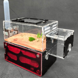 Tank Kiến D01 - Hình ảnh 4