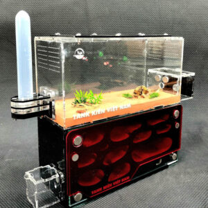 Tank Kiến D03 - Hình ảnh 8