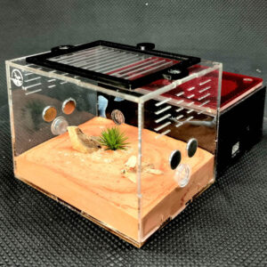 Tank Kiến N02 - Hình ảnh 8