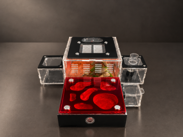 Modular Acrylic Ant Habitat System