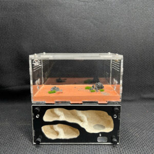 Tank Kiến H03 - Hình ảnh 3