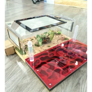 Tank Kiến N06_Mica - Hình ảnh 2