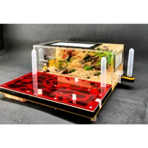 Tank Kiến N06_Mica - Hình ảnh 3