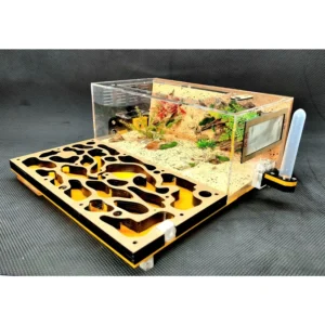 Tank Kiến N06_Mica - Hình ảnh 4