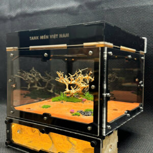 Tank Kiến U1 - Hình ảnh 18