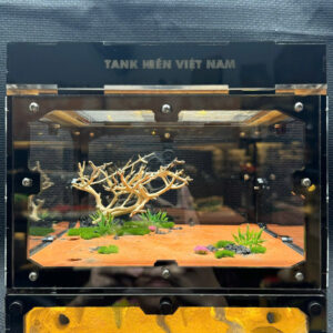 Tank Kiến U1 - Hình ảnh 17