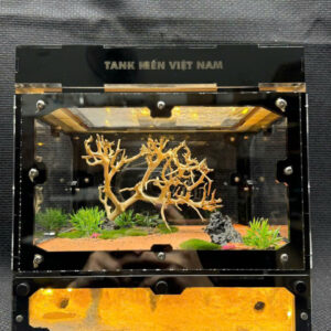 Tank Kiến U1 - Hình ảnh 23