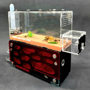 Tank Kiến D03 - Hình ảnh 2
