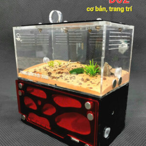 Tank Kiến D02 - Hình ảnh 2
