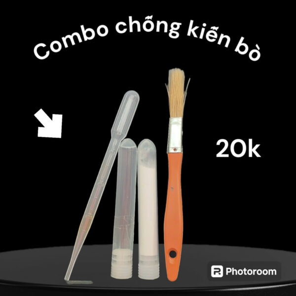 z6691439663642_31729acbb002cc2b535fbd0e8c83b617