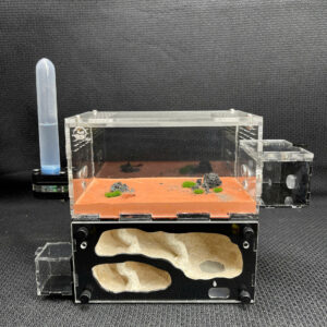 Tank Kiến H03 - Hình ảnh 5