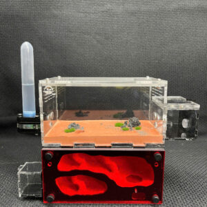 Tank Kiến H03 - Hình ảnh 4